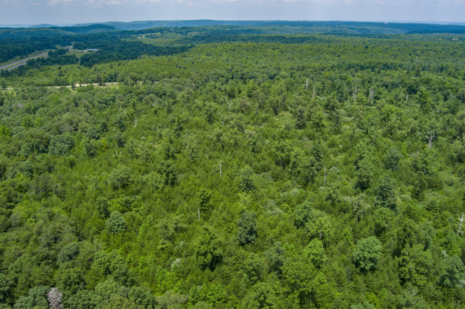 0 Golden Pointe Road Spencer, TN 38585 - Photo 14 of 18 Gallery Image 14