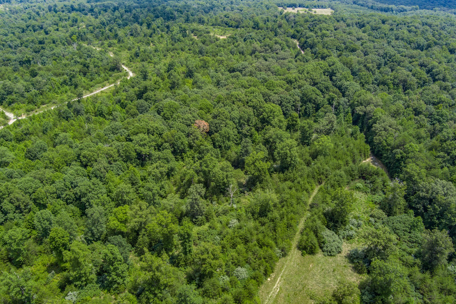 0 Golden Pointe Road Spencer, TN 38585 - Photo 5 of 18 Gallery Image 5