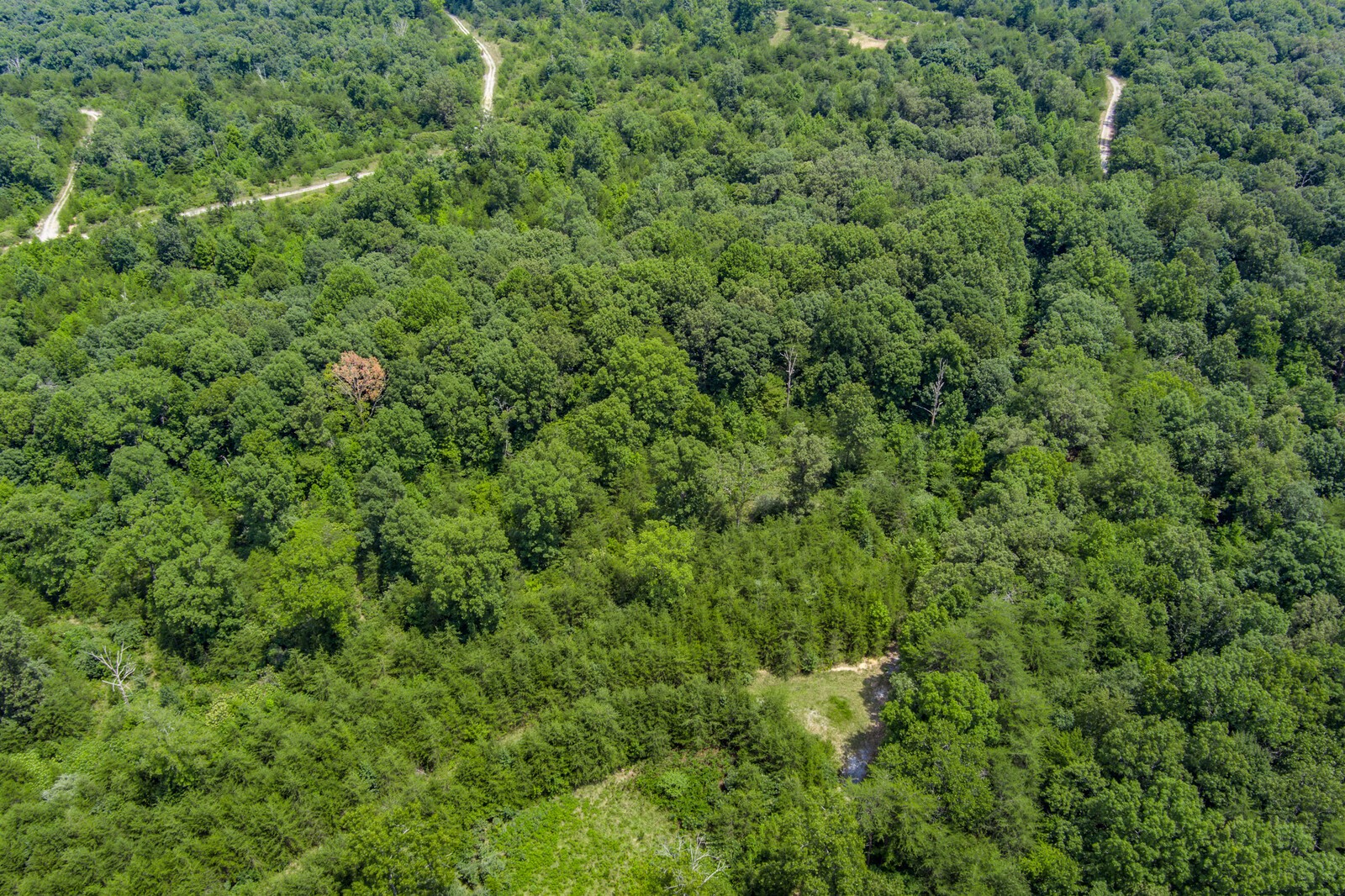 0 Golden Pointe Road Spencer, TN 38585 - Photo 6 of 18 Gallery Image 6