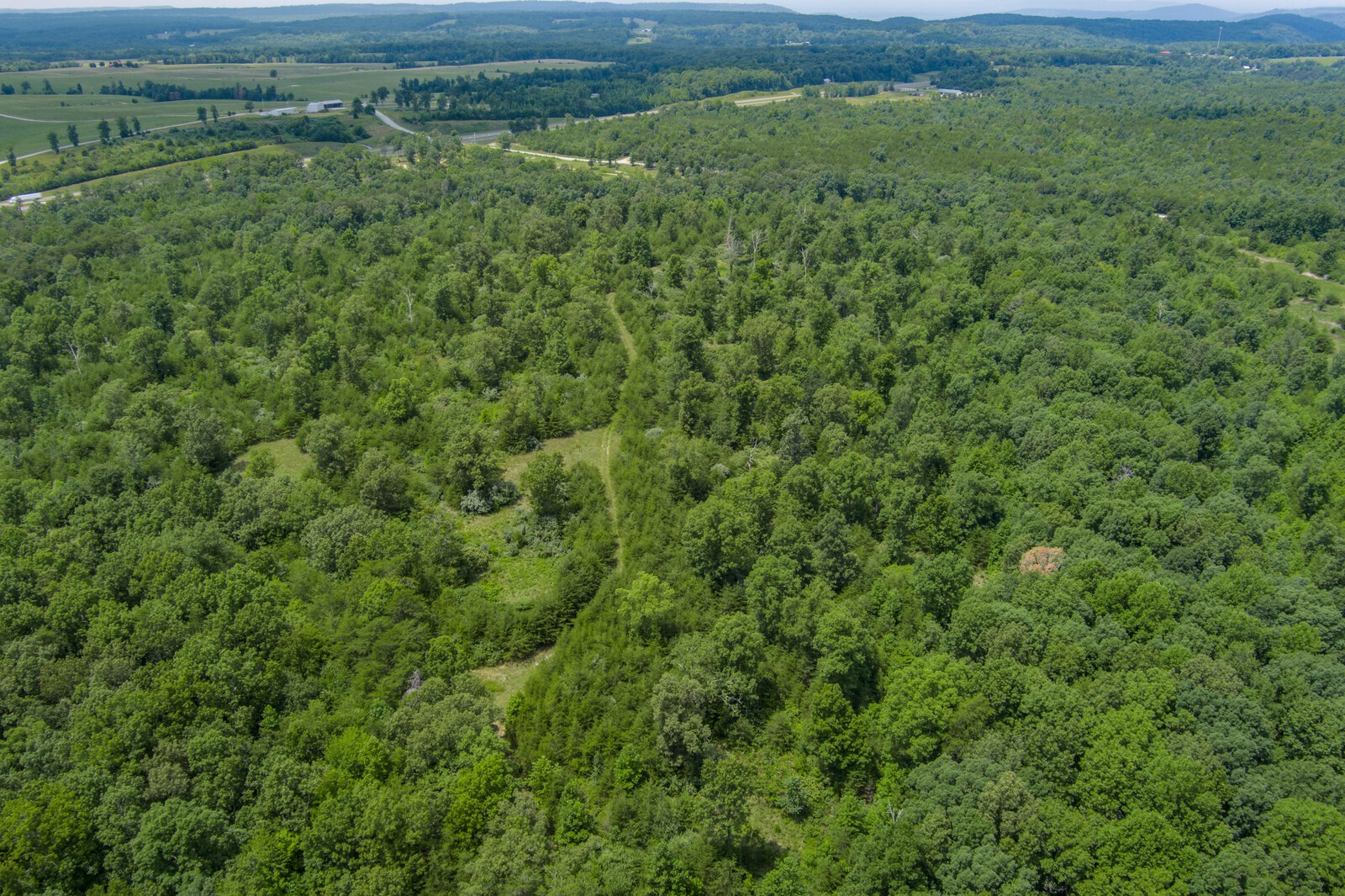 0 Golden Pointe Road Spencer, TN 38585 - Photo 9 of 18 Gallery Image 9