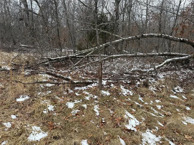 $129,900 | 2 Bcr 924, Patton, MO 63662