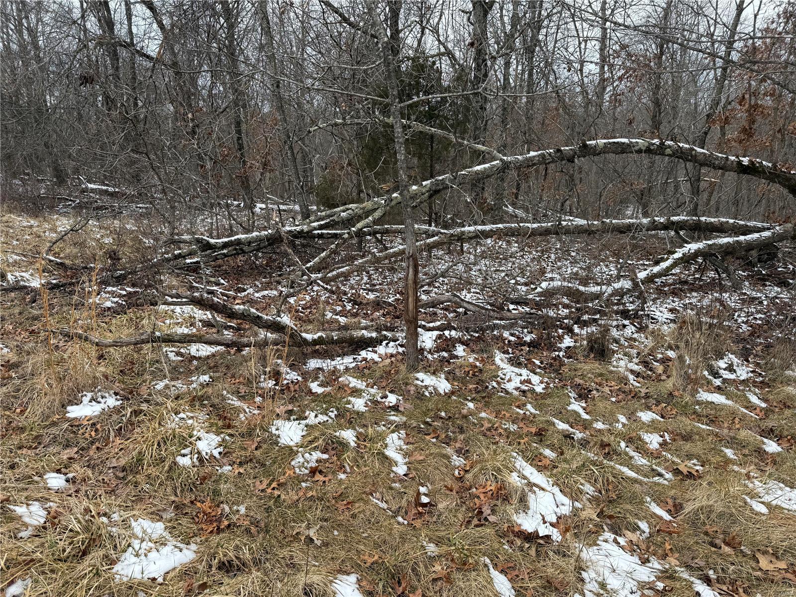 2 Bcr 924 Patton, MO 63662 - Photo 11 of 32