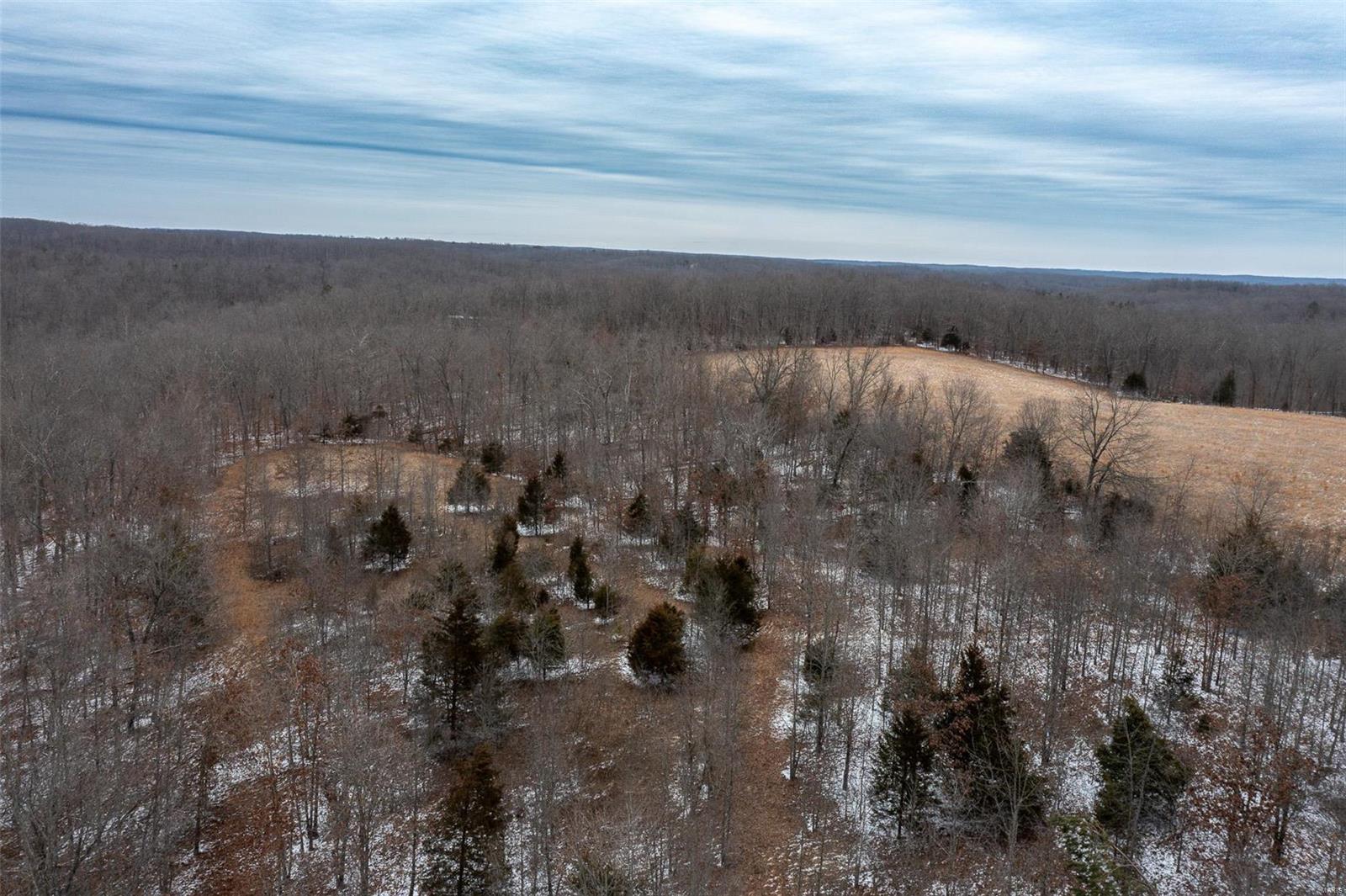 2 Bcr 924 Patton, MO 63662 - Photo 18 of 32