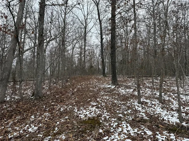 $129,900 | 2 Bcr 924, Patton, MO 63662