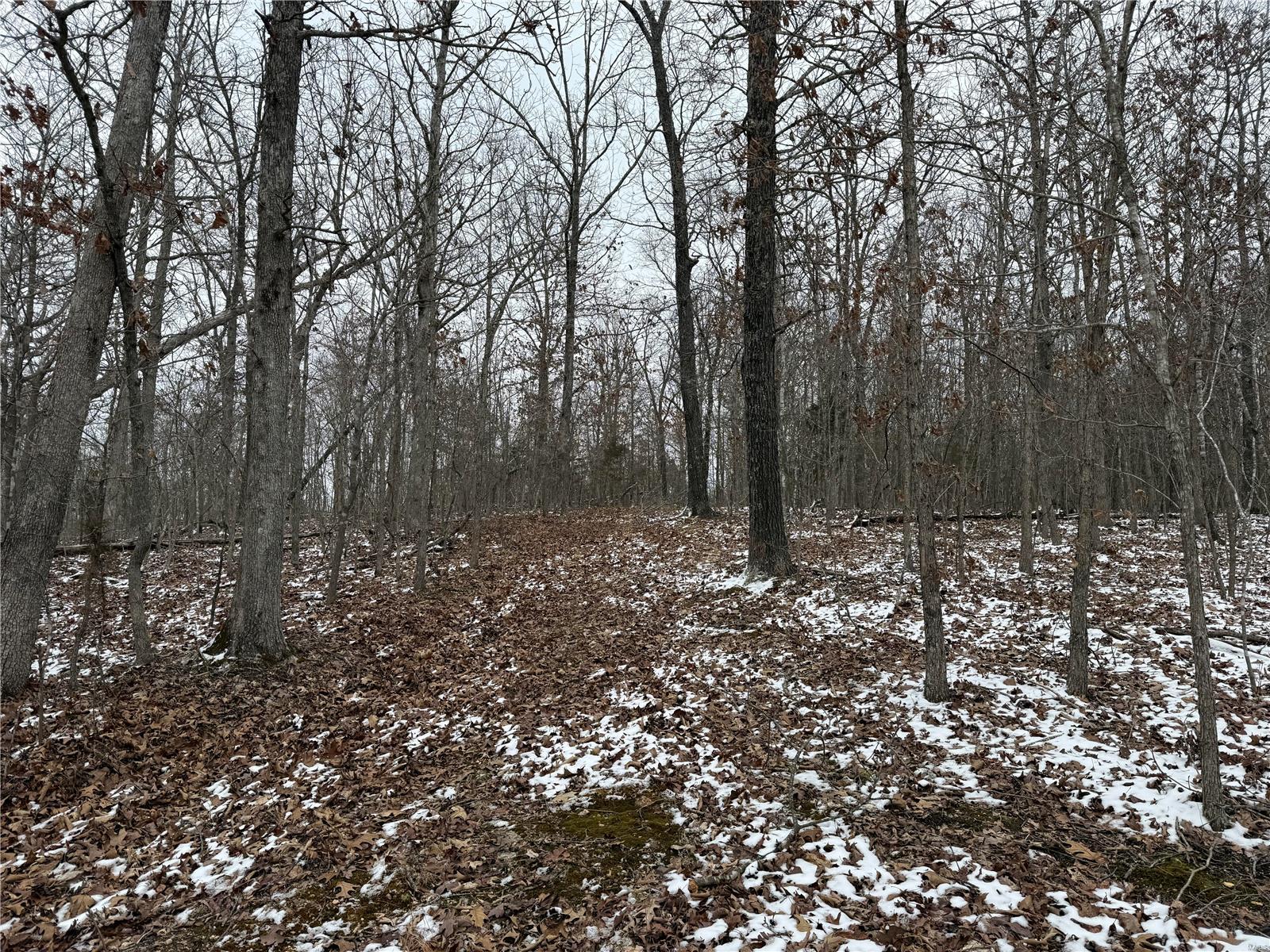 2 Bcr 924 Patton, MO 63662 - Photo 19 of 32