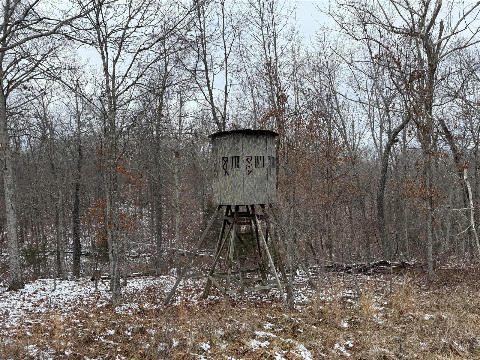 2 Bcr 924 Patton, MO 63662 - Photo 2 of 32