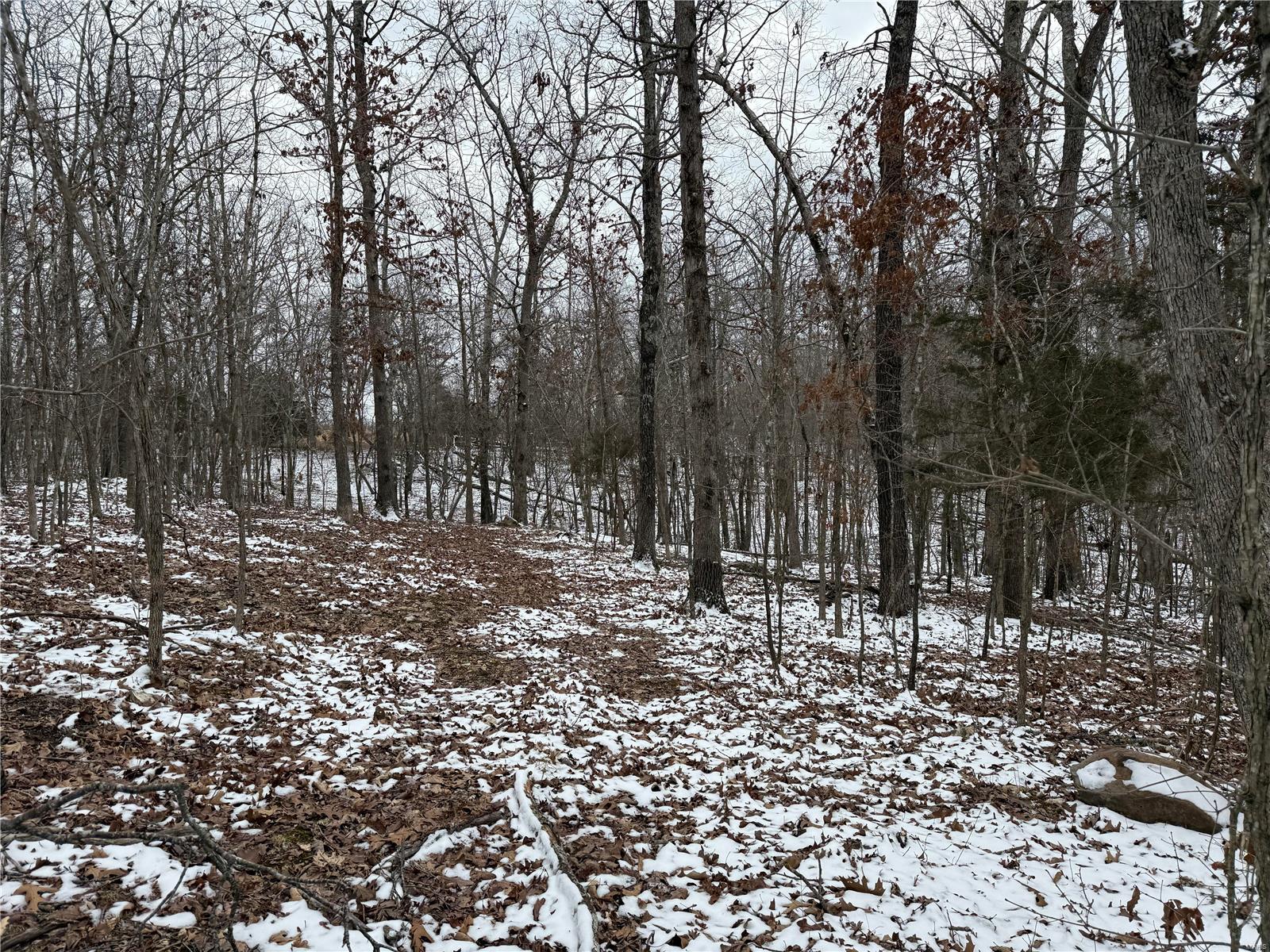 2 Bcr 924 Patton, MO 63662 - Photo 21 of 32