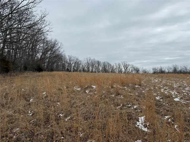 $129,900 | 2 Bcr 924, Patton, MO 63662