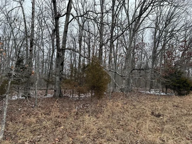 $129,900 | 2 Bcr 924, Patton, MO 63662