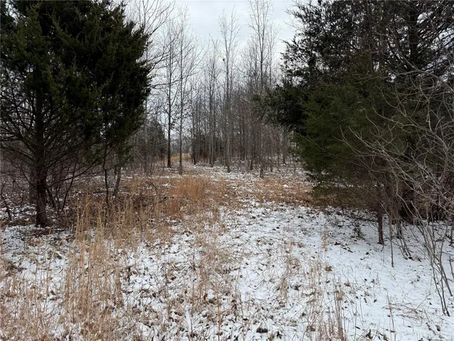 $129,900 | 2 Bcr 924, Patton, MO 63662