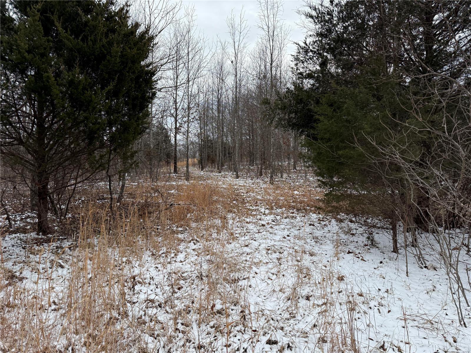 2 Bcr 924 Patton, MO 63662 - Photo 24 of 32