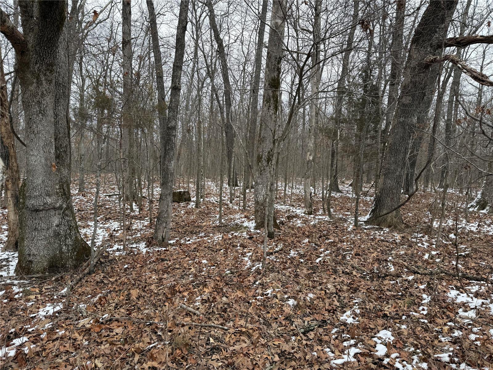 2 Bcr 924 Patton, MO 63662 - Photo 25 of 32