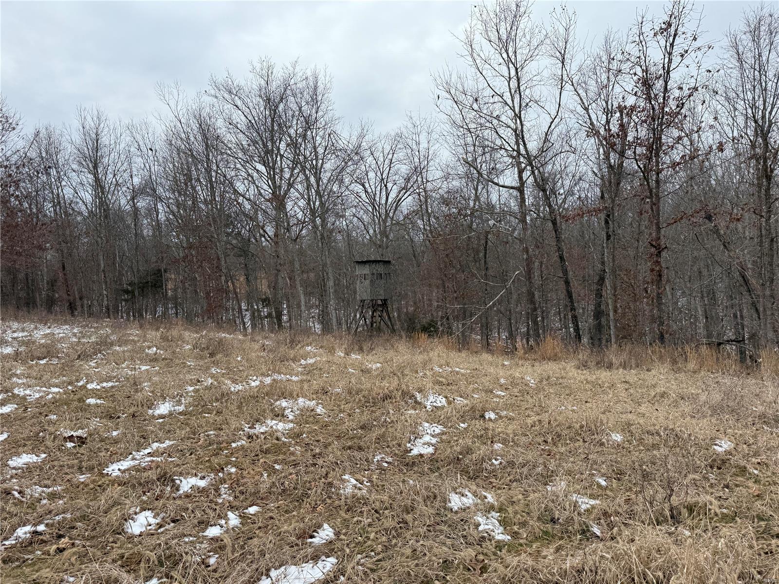 2 Bcr 924 Patton, MO 63662 - Photo 27 of 32