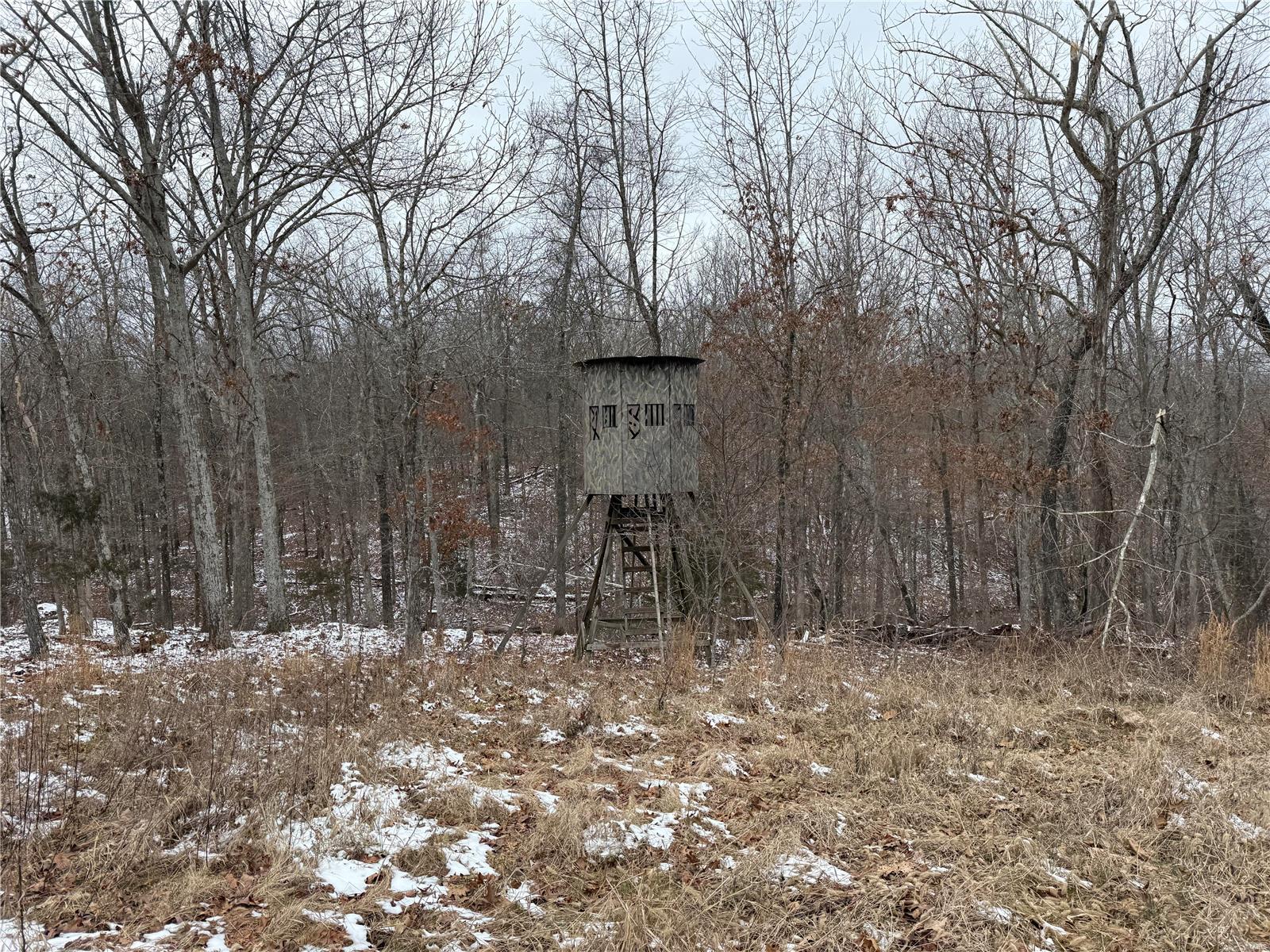 2 Bcr 924 Patton, MO 63662 - Photo 28 of 32