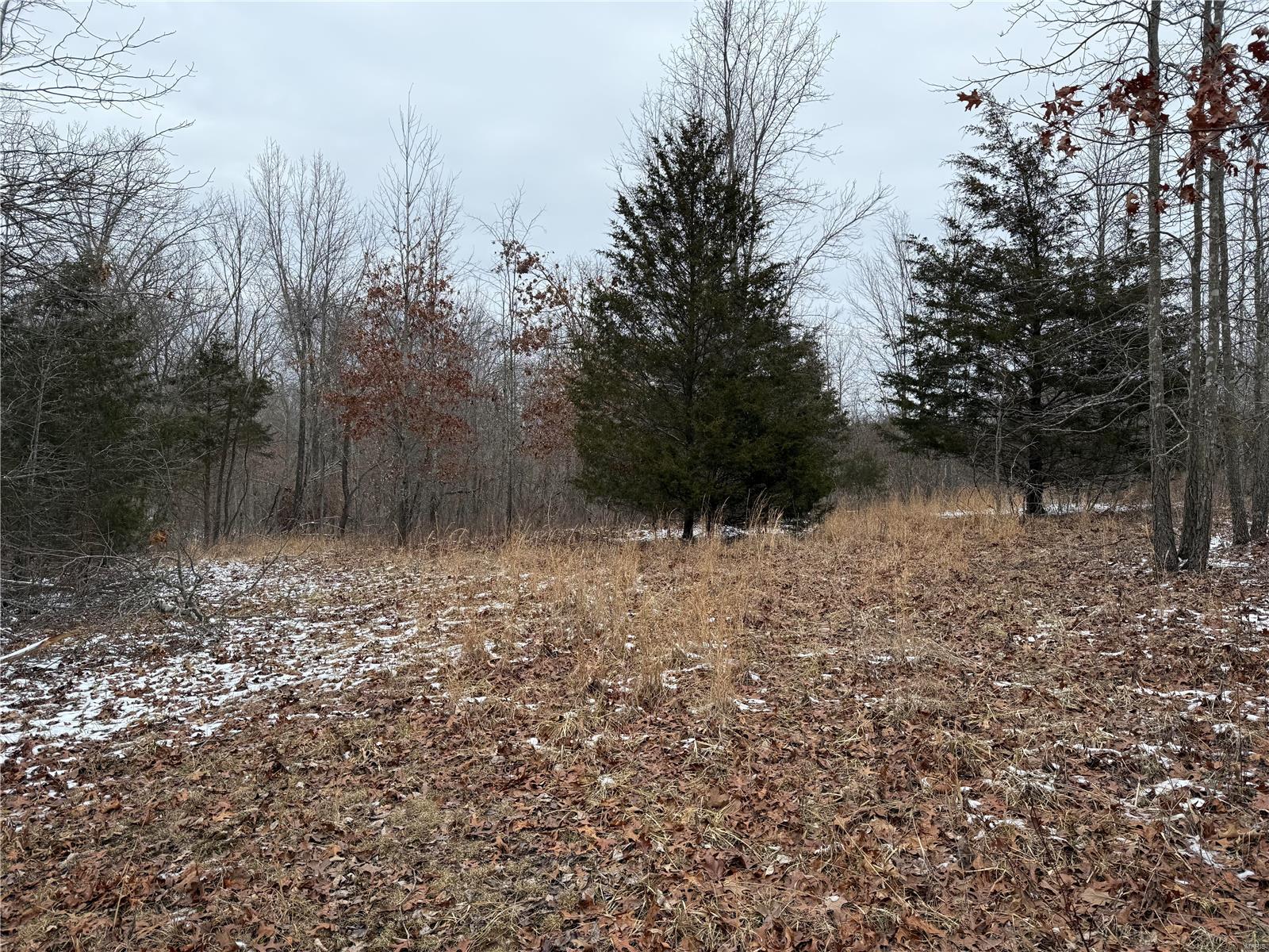 2 Bcr 924 Patton, MO 63662 - Photo 31 of 32