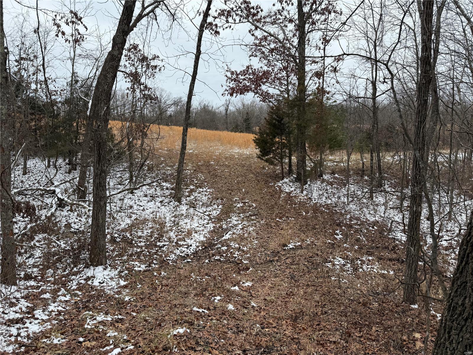 2 Bcr 924 Patton, MO 63662 - Photo 5 of 32