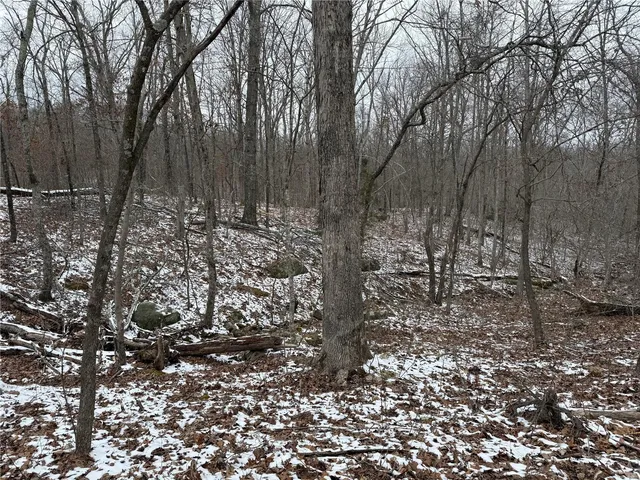 $129,900 | 2 Bcr 924, Patton, MO 63662