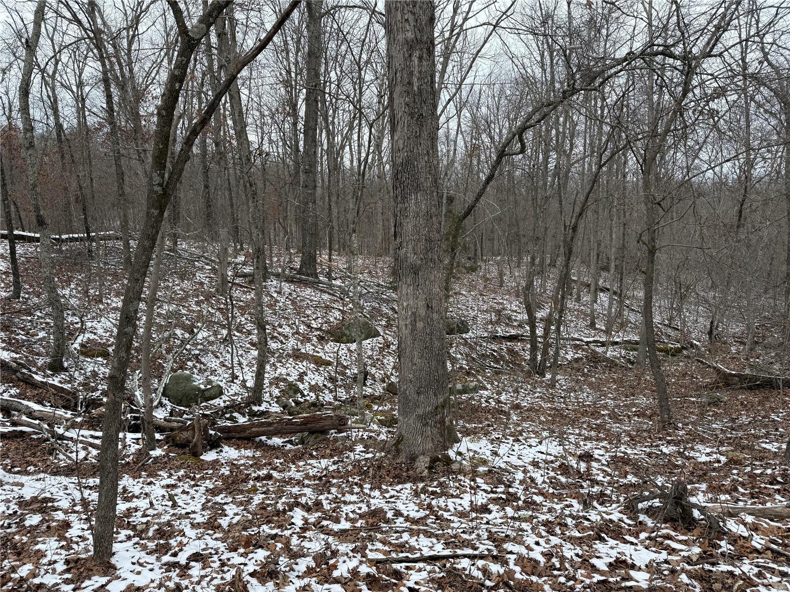 2 Bcr 924 Patton, MO 63662 - Photo 6 of 32