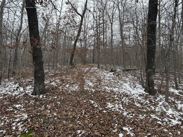 $129,900 | 2 Bcr 924, Patton, MO 63662