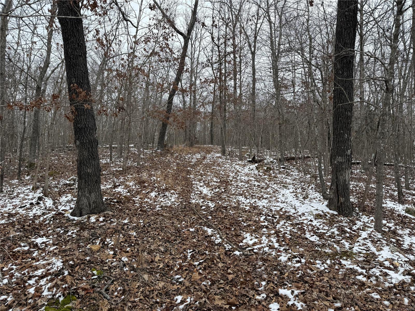 2 Bcr 924 Patton, MO 63662 - Photo 7 of 32