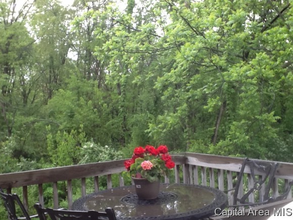 2525 Old River Road Springfield, IL 62707 - Photo 19 of 22