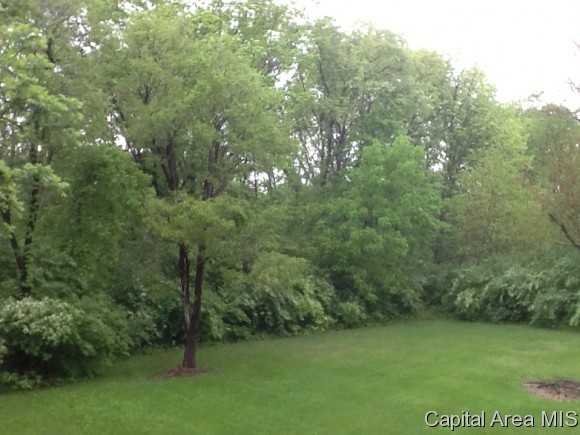 2525 Old River Road Springfield, IL 62707 - Photo 21 of 22