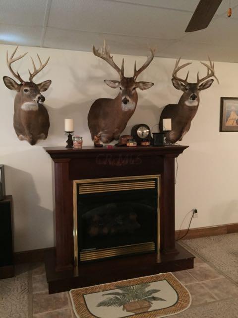 6676 Fair Ridge Road Hillsboro, OH 45133 - Photo 70 of 92