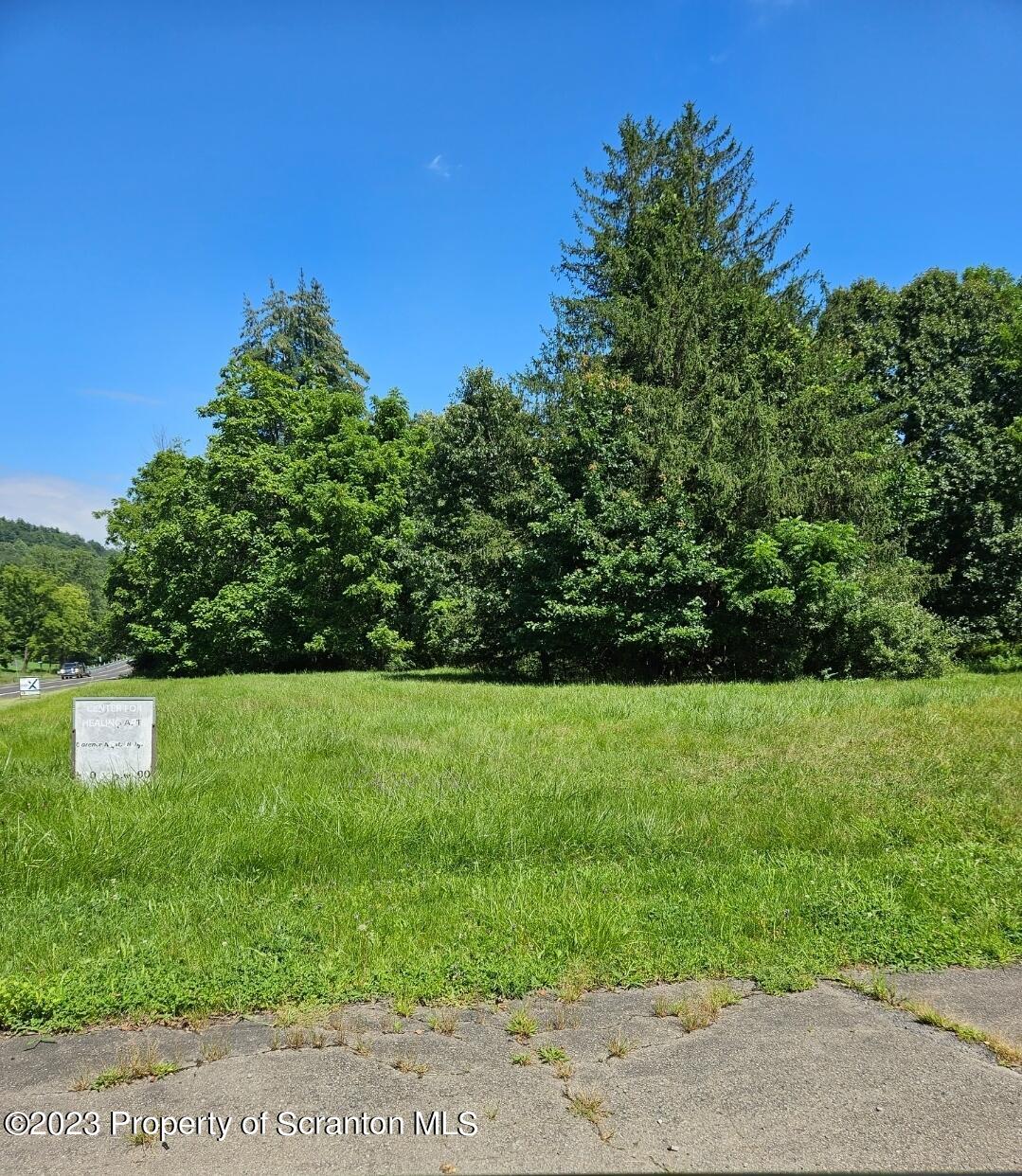 a view of a field of grass and trees