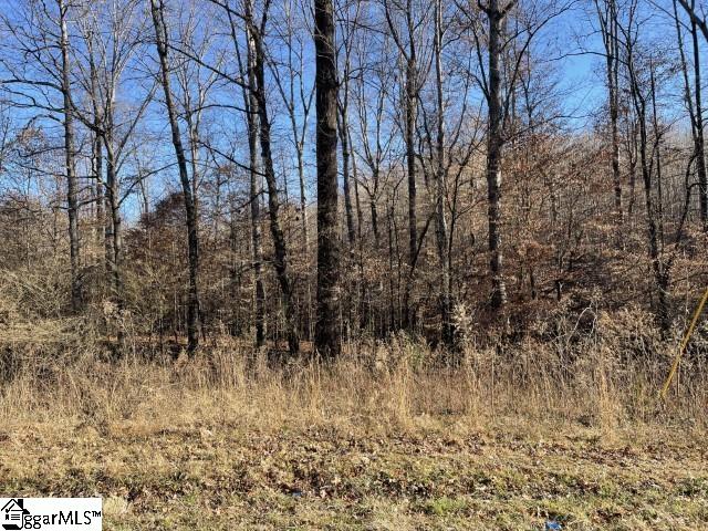 0 Welcome Church Road Westminster, SC 29693 - Photo 3 of 16