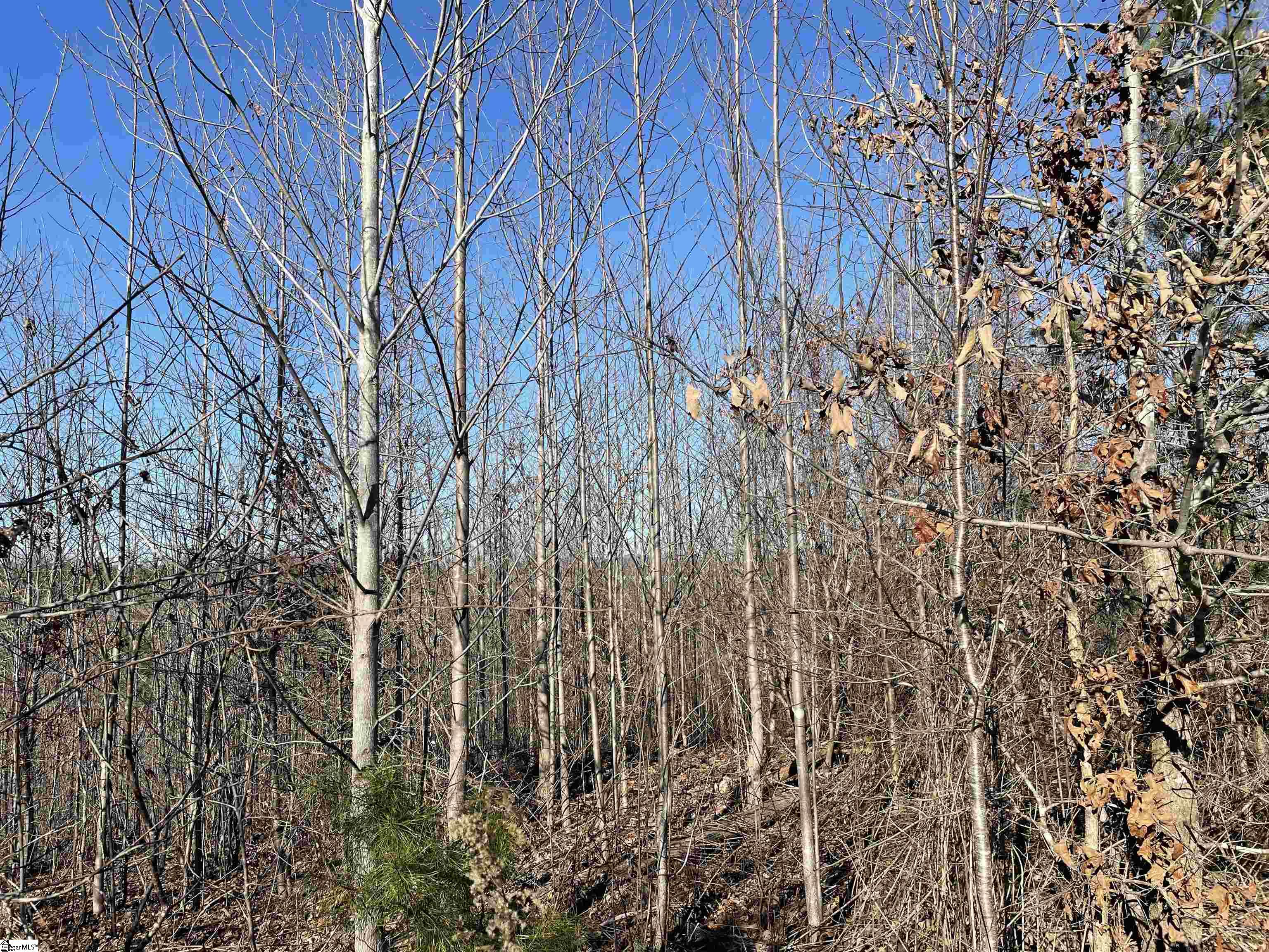 0 Welcome Church Road Westminster, SC 29693 - Photo 4 of 16