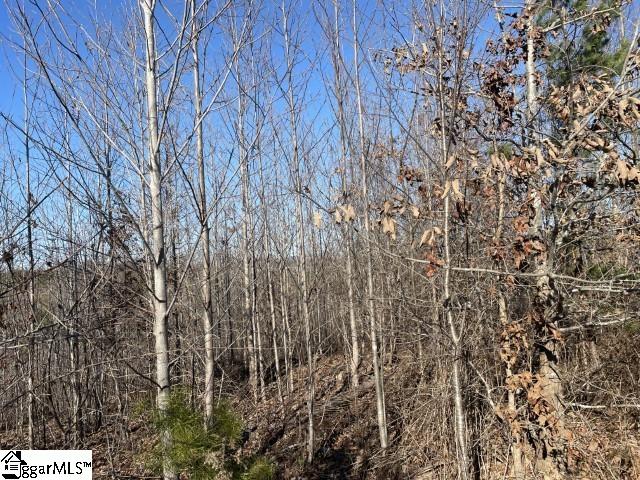 0 Welcome Church Road Westminster, SC 29693 - Photo 5 of 16