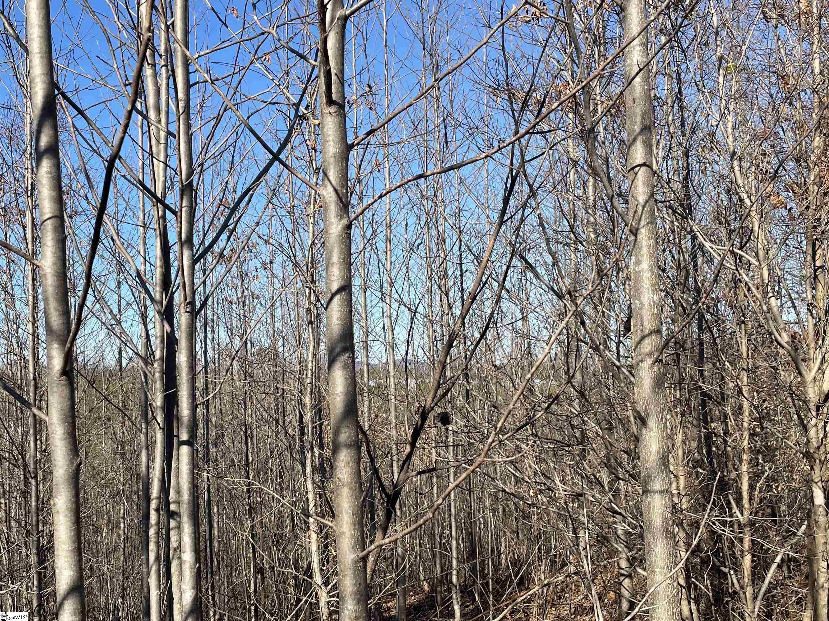 0 Welcome Church Road Westminster, SC 29693 - Photo 6 of 16