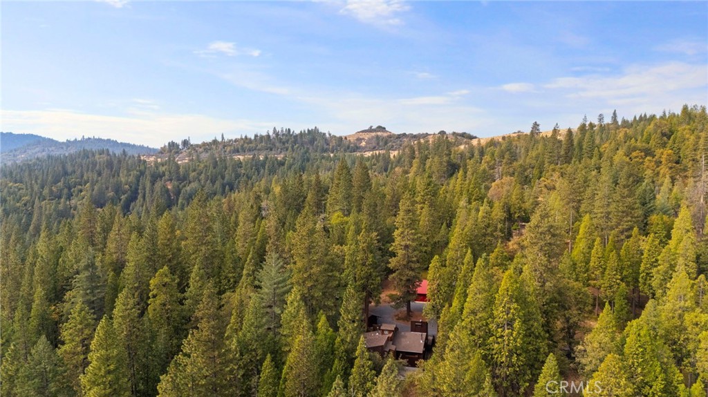 25833 Lyons Dam Road Twain Harte, CA 95383 - Photo 62 of 67