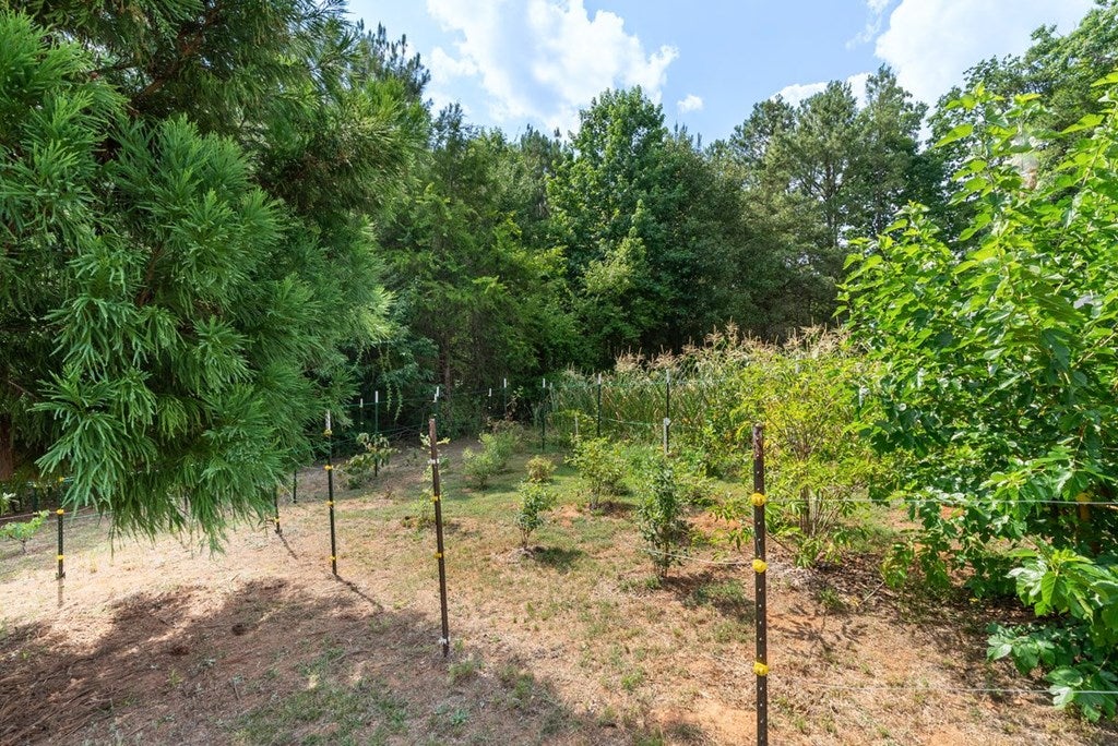 486 Marina Road Bracey, VA 23919 - Photo 45 of 71 Gallery Image 45