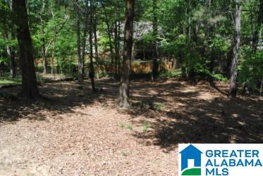 221 Oakmont Road Birmingham, AL 35244 - Photo 38 of 47