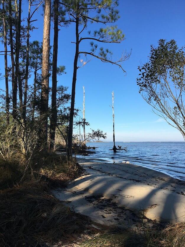 Lot 7 14th Street Santa Rosa Beach, FL 32459 - Photo 11 of 13 darkbay