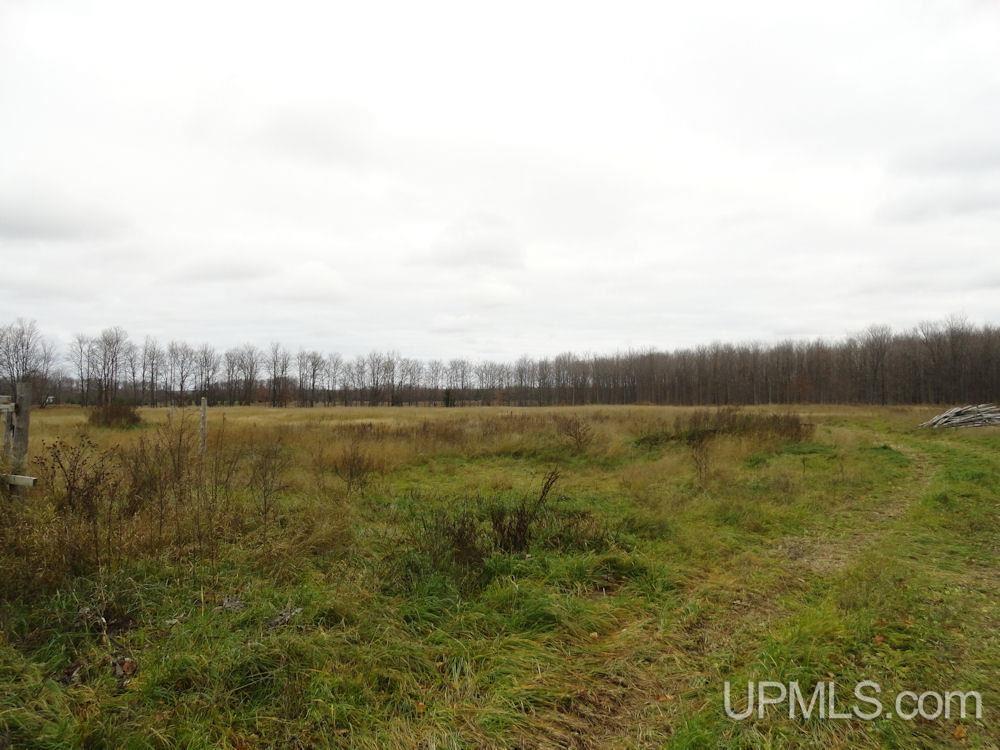 N5058 Benson Road Chatham, MI 49816 - Photo 27 of 31