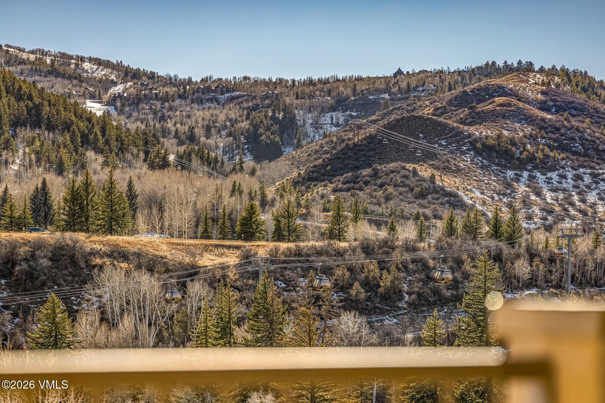 137 Benchmark Road, Unit 513 Avon, CO 81620 - Photo 20 of 31 a view of a dry yard with trees