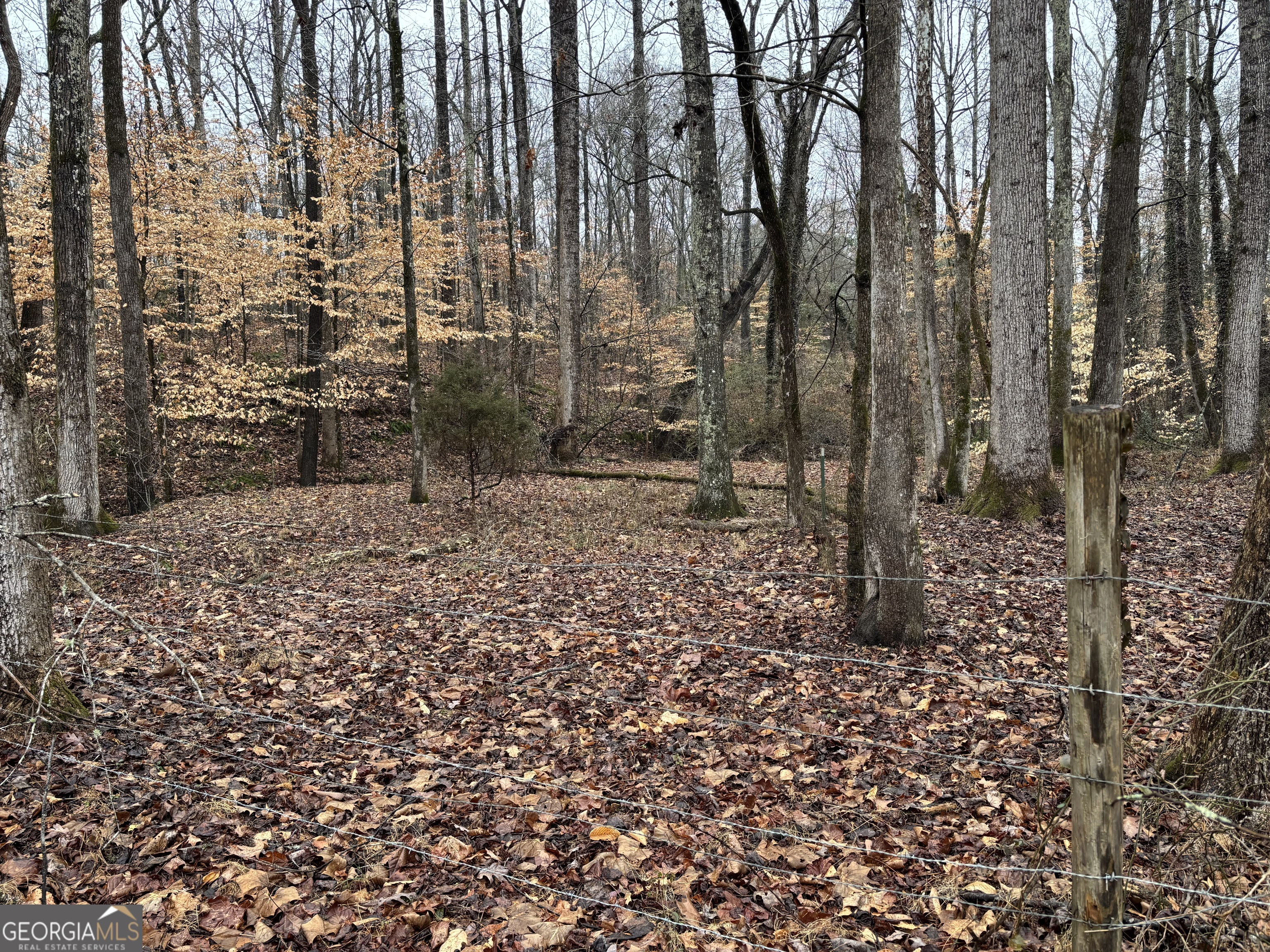 0 Lebanon Church Road Jefferson, GA 30549 - Photo 10 of 15