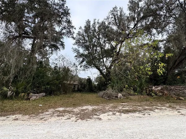 a view of backyard with green space