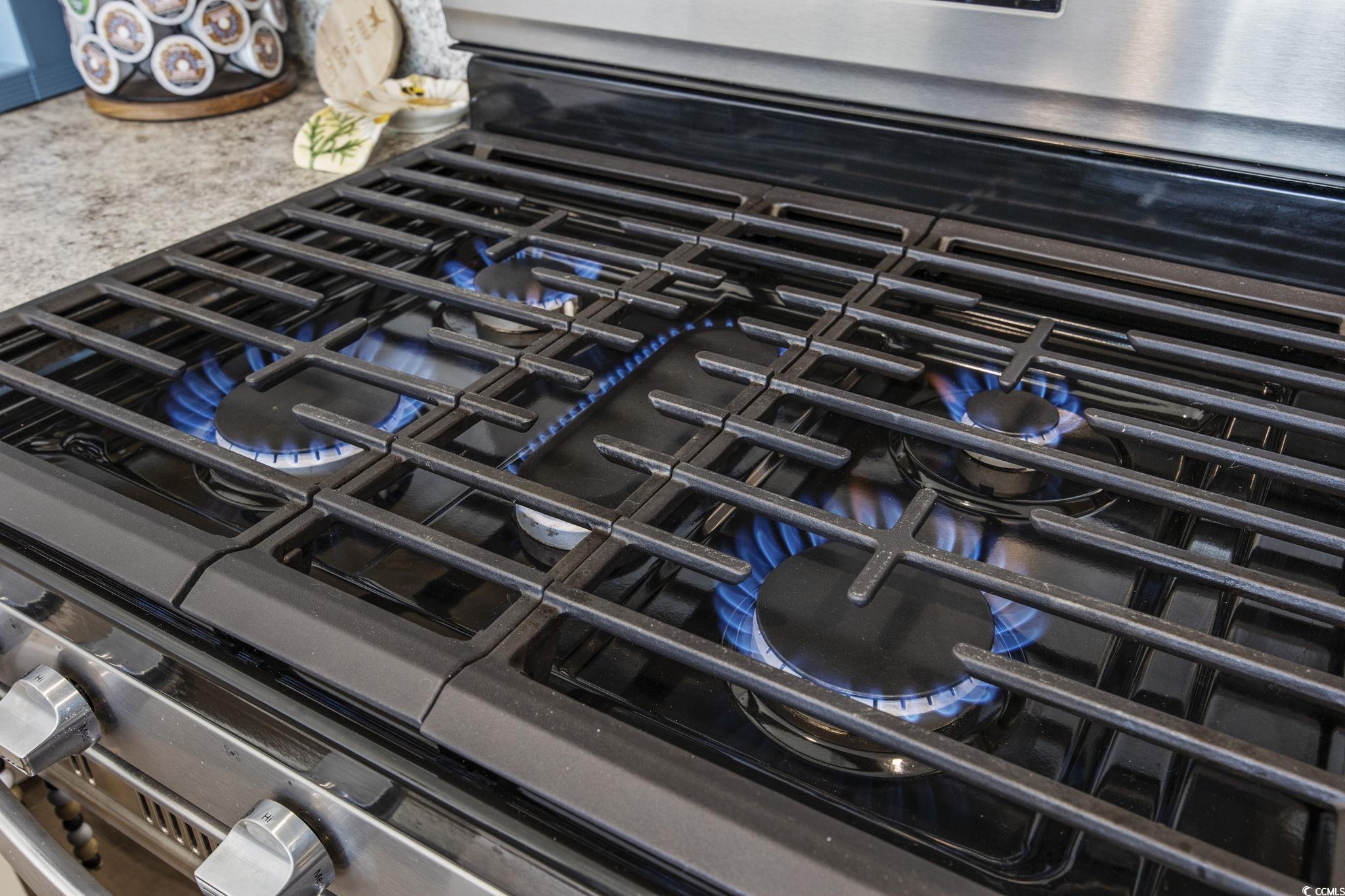 924 Akron Street Conway, SC 29526 - Photo 15 of 37 Detailed view of stainless steel gas range oven