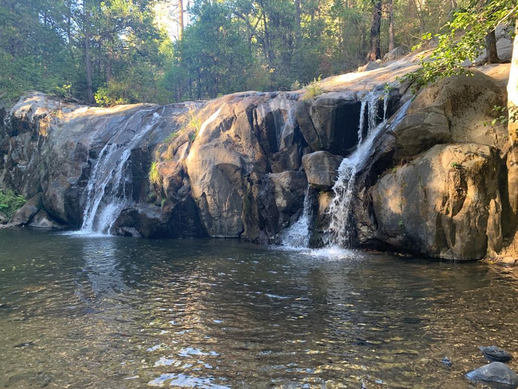 42492 Buckeye Road Oakhurst, CA 93644 - Photo 34 of 38 a view of a yard with large trees