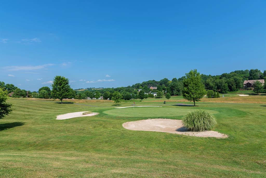 389 Winterham Drive Abingdon, VA 24211 - Photo 49 of 52 Golf Course View