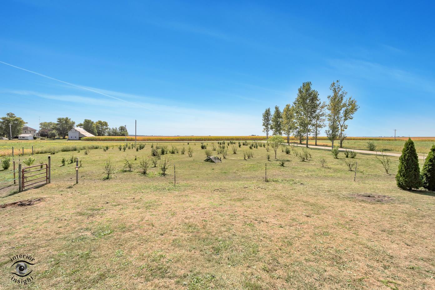 1258 East 2900 North Road Clifton, IL 60927 - Photo 22 of 38 a view of a big yard with an trees