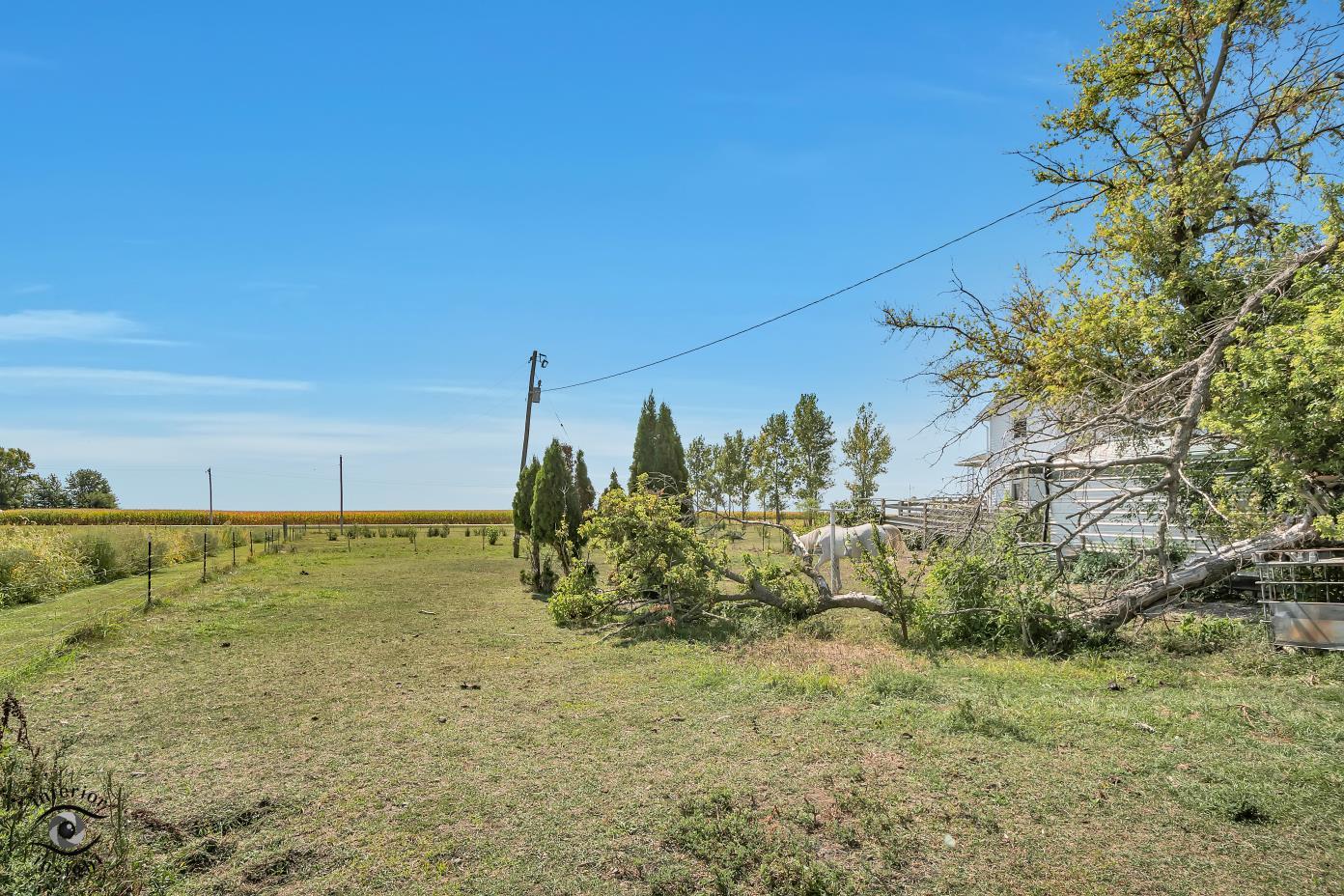 1258 East 2900 North Road Clifton, IL 60927 - Photo 27 of 38 a view of a yard