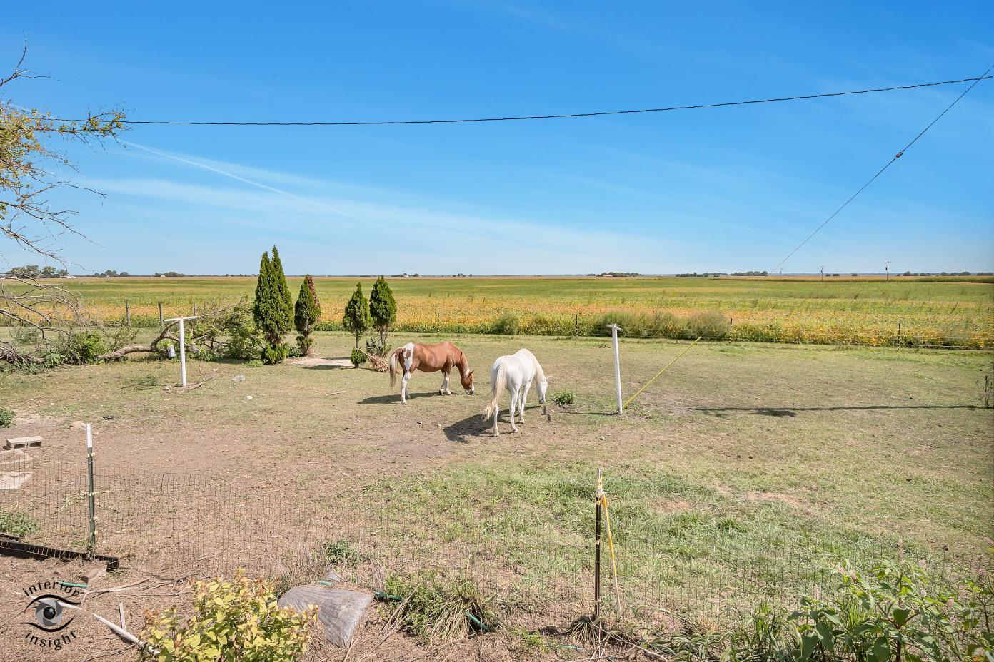 1258 East 2900 North Road Clifton, IL 60927 - Photo 29 of 38
