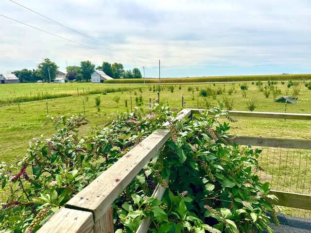 $302,000 | 1258 East 2900 North Road, Clifton, IL 60927