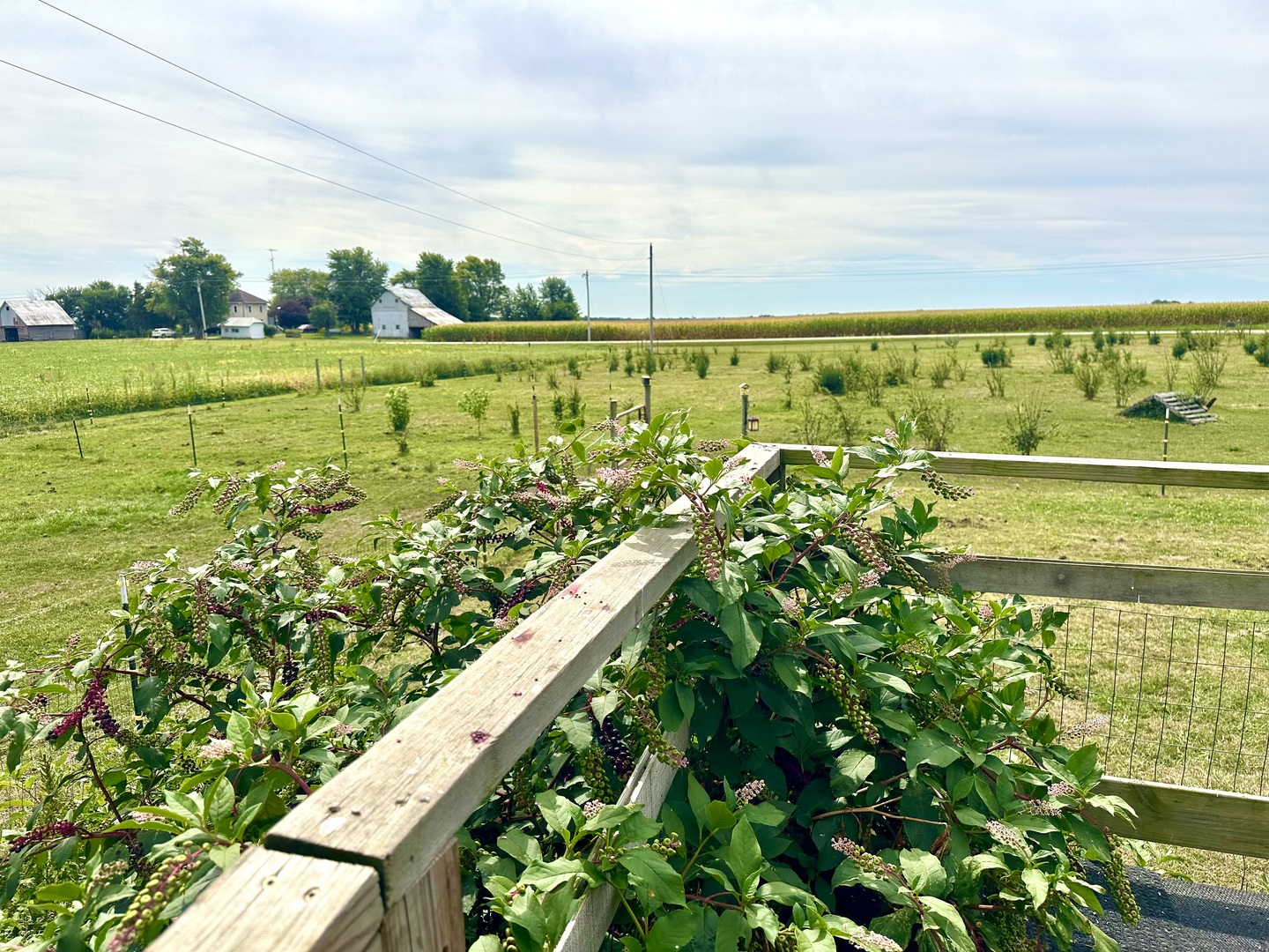 1258 East 2900 North Road Clifton, IL 60927 - Photo 30 of 38