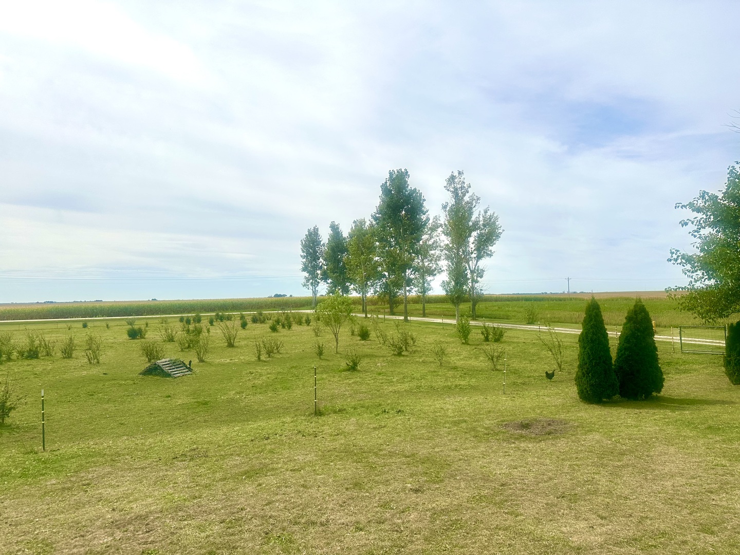 1258 East 2900 North Road Clifton, IL 60927 - Photo 31 of 38 a view of a lake view