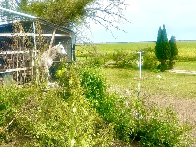 $302,000 | 1258 East 2900 North Road, Clifton, IL 60927